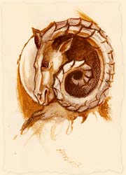 baran