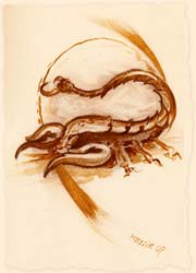 skorpion